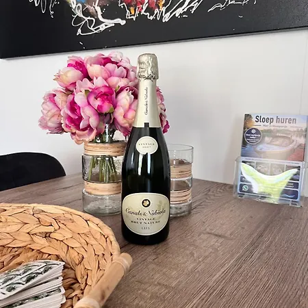 Casa vacanze 4 Pers Op Maasparcje Met Privestrand Roermond